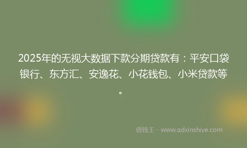 2025年的无视大数据下款分期贷款有：平安口袋银行、东方汇、安逸花、小花钱包、小米贷款等。