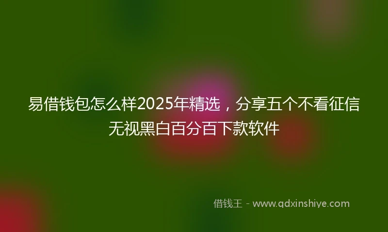 易借钱包怎么样2025年精选，分享五个不看征信无视黑白百分百下款软件