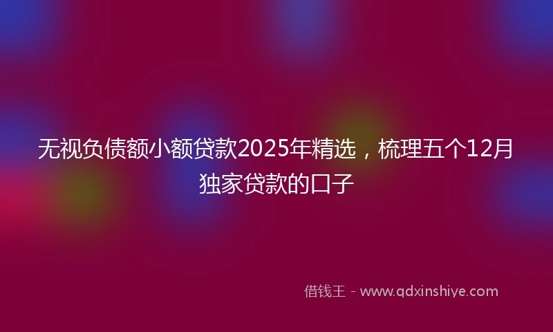 无视负债额小额贷款2025年精选，梳理五个12月独家贷款的口子