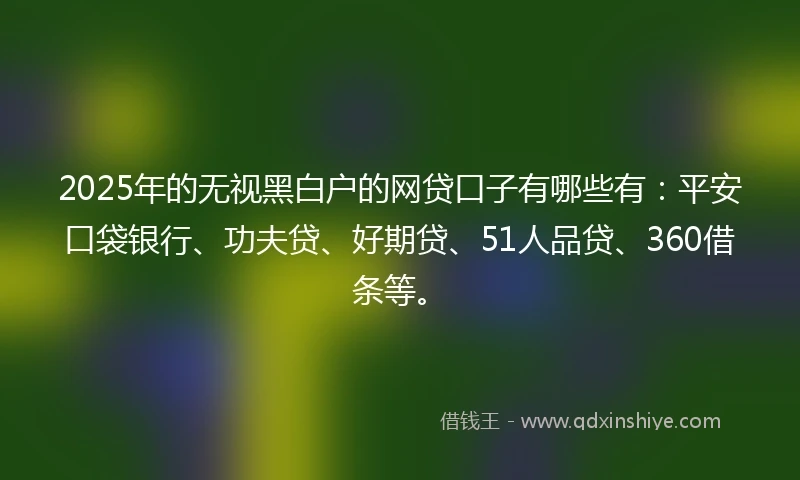 2025年的无视黑白户的网贷口子有哪些有：平安口袋银行、功夫贷、好期贷、51人品贷、360借条等。