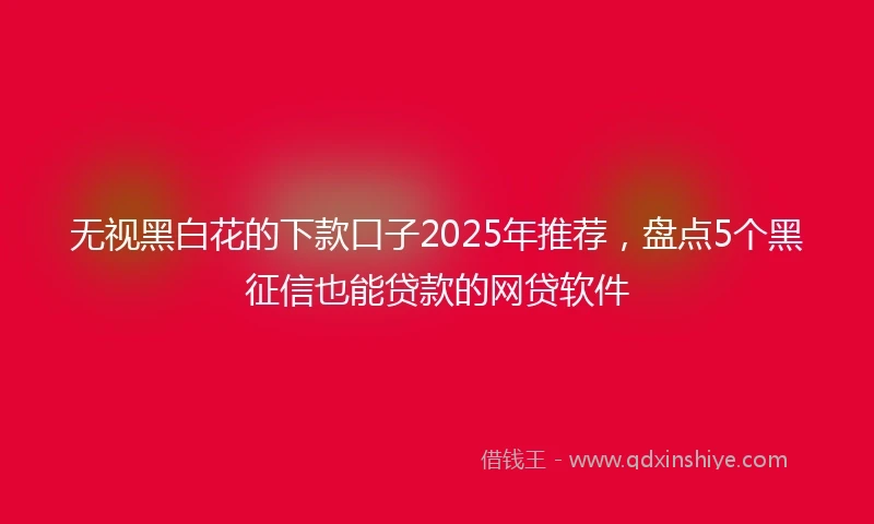 无视黑白花的下款口子2025年推荐，盘点5个黑征信也能贷款的网贷软件