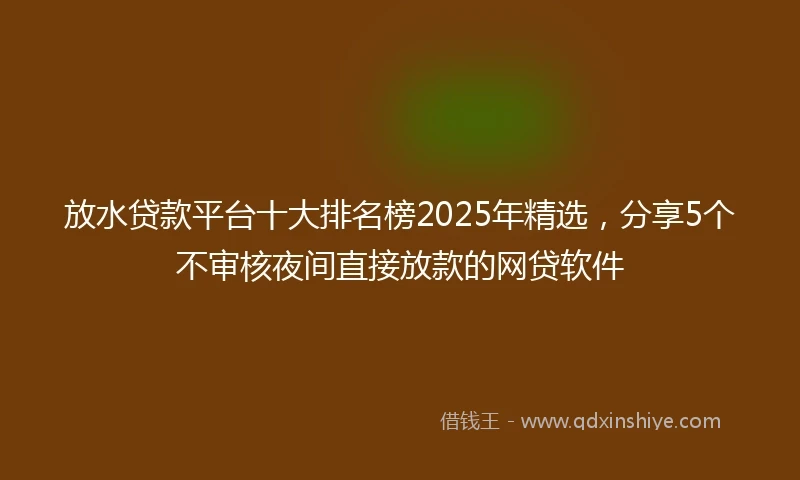 放水贷款平台十大排名榜2025年精选，分享5个不审核夜间直接放款的网贷软件