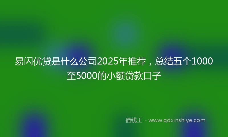 易闪优贷是什么公司2025年推荐，总结五个1000至5000的小额贷款口子