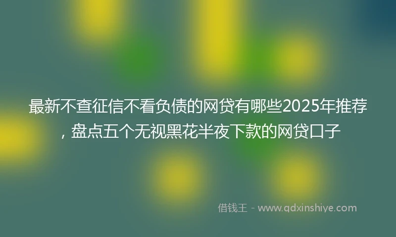 最新不查征信不看负债的网贷有哪些2025年推荐，盘点五个无视黑花半夜下款的网贷口子