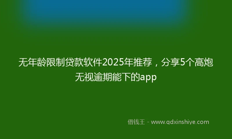无年龄限制贷款软件2025年推荐，分享5个高炮无视逾期能下的app