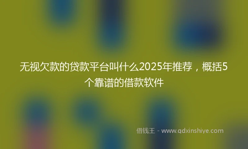 无视欠款的贷款平台叫什么2025年推荐，概括5个靠谱的借款软件