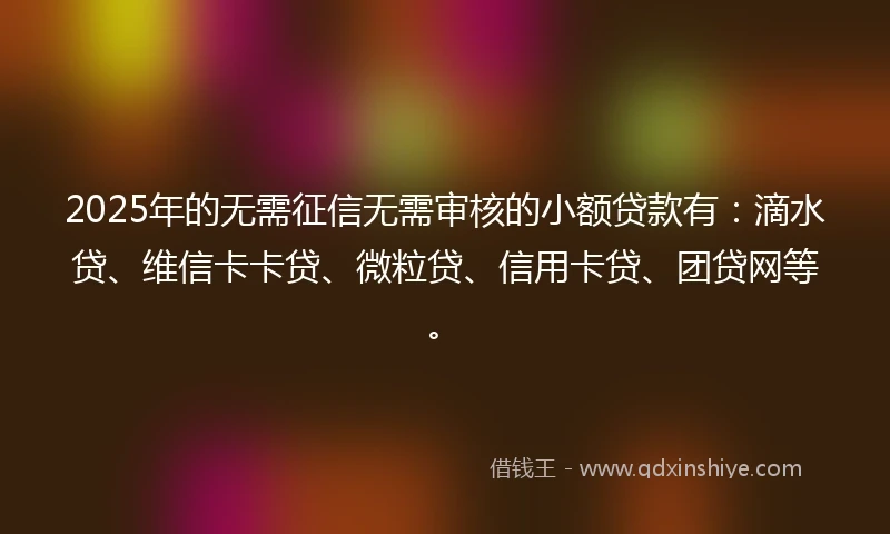 2025年的无需征信无需审核的小额贷款有：滴水贷、维信卡卡贷、微粒贷、信用卡贷、团贷网等。