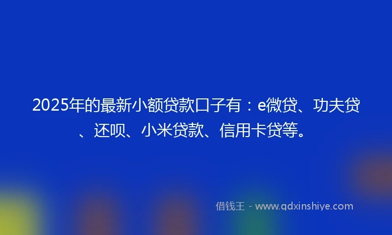 2025年的最新小额贷款口子有:e微贷、功夫贷、还呗、小米贷款、信用卡贷等。