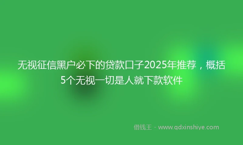无视征信黑户必下的贷款口子2025年推荐，概括5个无视一切是人就下款软件
