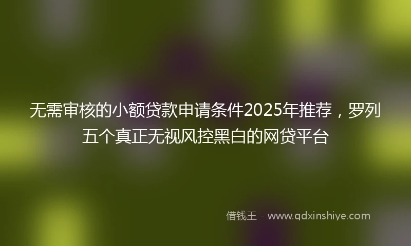 无需审核的小额贷款申请条件2025年推荐，罗列五个真正无视风控黑白的网贷平台