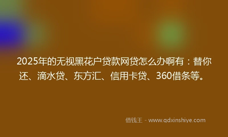 2025年的无视黑花户贷款网贷怎么办啊有：替你还、滴水贷、东方汇、信用卡贷、360借条等。