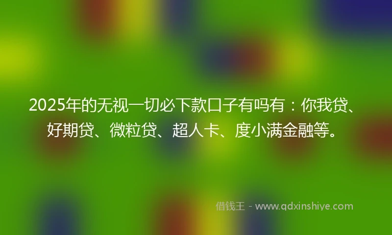 2025年的无视一切必下款口子有吗有：你我贷、好期贷、微粒贷、超人卡、度小满金融等。