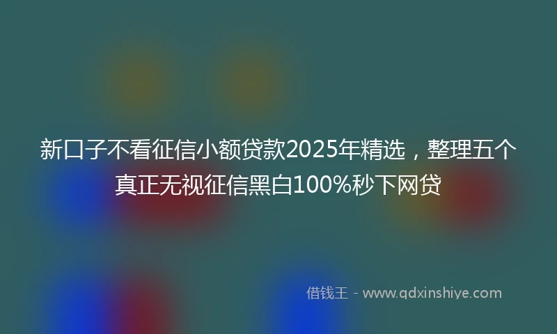 新口子不看征信小额贷款2025年精选，整理五个真正无视征信黑白100%秒下网贷