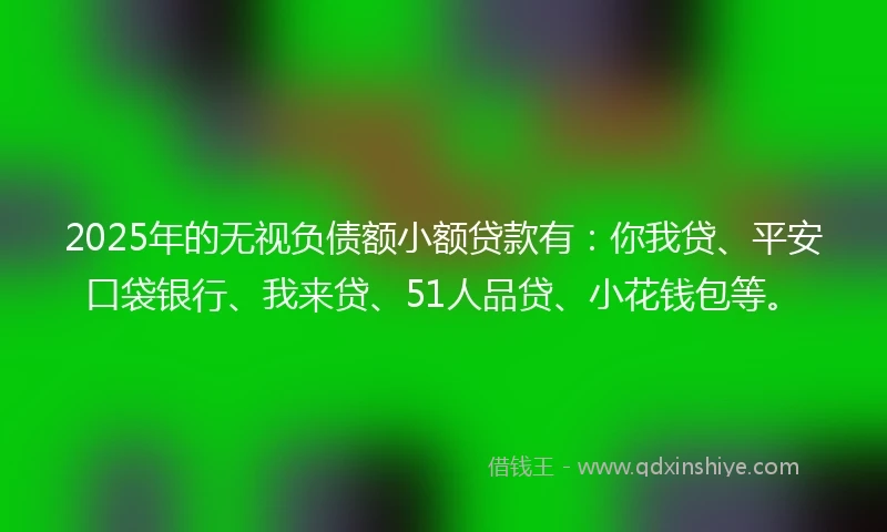 2025年的无视负债额小额贷款有：你我贷、平安口袋银行、我来贷、51人品贷、小花钱包等。