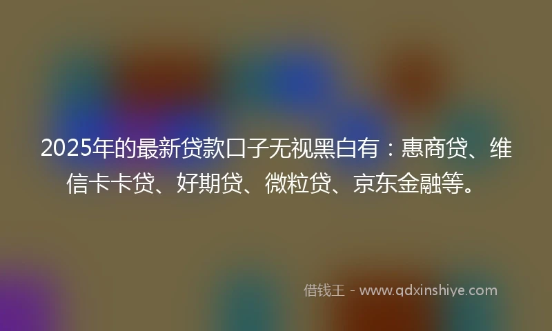 2025年的最新贷款口子无视黑白有：惠商贷、维信卡卡贷、好期贷、微粒贷、京东金融等。