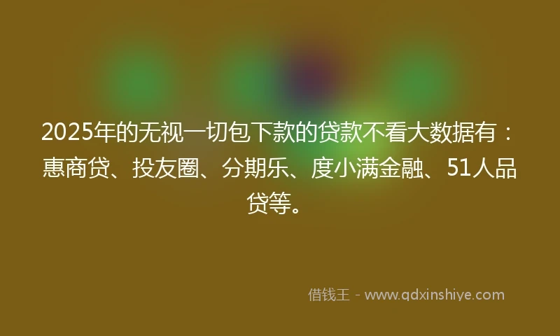 2025年的无视一切包下款的贷款不看大数据有：惠商贷、投友圈、分期乐、度小满金融、51人品贷等。