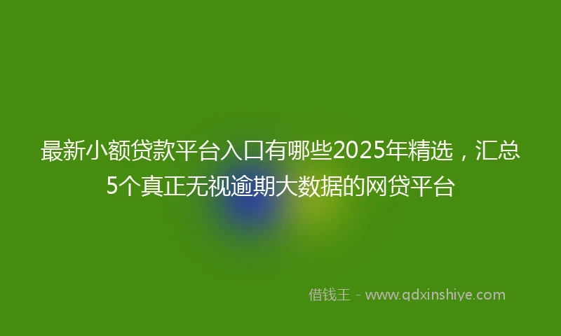 最新小额贷款平台入口有哪些2025年精选，汇总5个真正无视逾期大数据的网贷平台