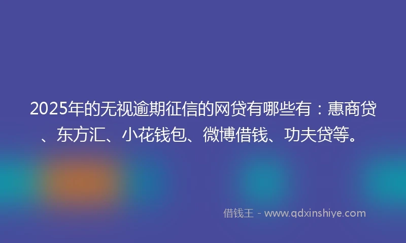 2025年的无视逾期征信的网贷有哪些有：惠商贷、东方汇、小花钱包、微博借钱、功夫贷等。