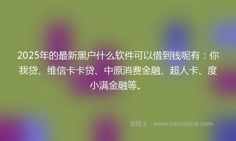 2025年的最新黑户什么软件可以借到钱呢有：你我贷、维信卡卡贷、中原消费金融、超人卡、度小满金融等。