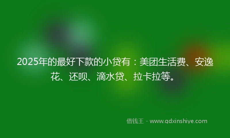 2025年的最好下款的小贷有：美团生活费、安逸花、还呗、滴水贷、拉卡拉等。