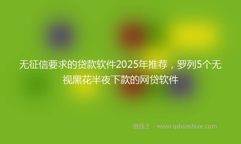 无征信要求的贷款软件2025年推荐,罗列5个无视黑花半夜下款的网贷软件