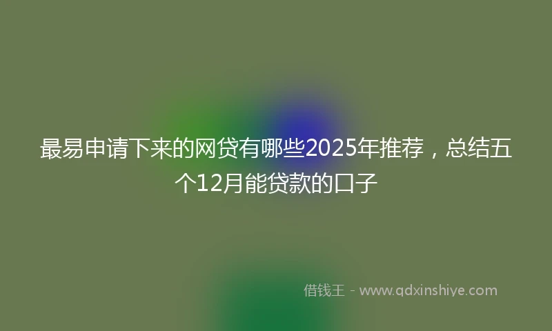 最易申请下来的网贷有哪些2025年推荐，总结五个12月能贷款的口子