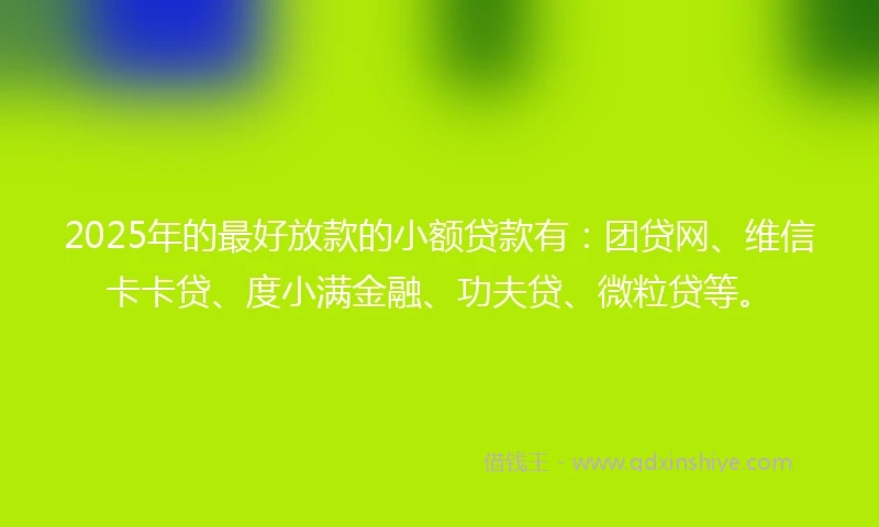 2025年的最好放款的小额贷款有：团贷网、维信卡卡贷、度小满金融、功夫贷、微粒贷等。
