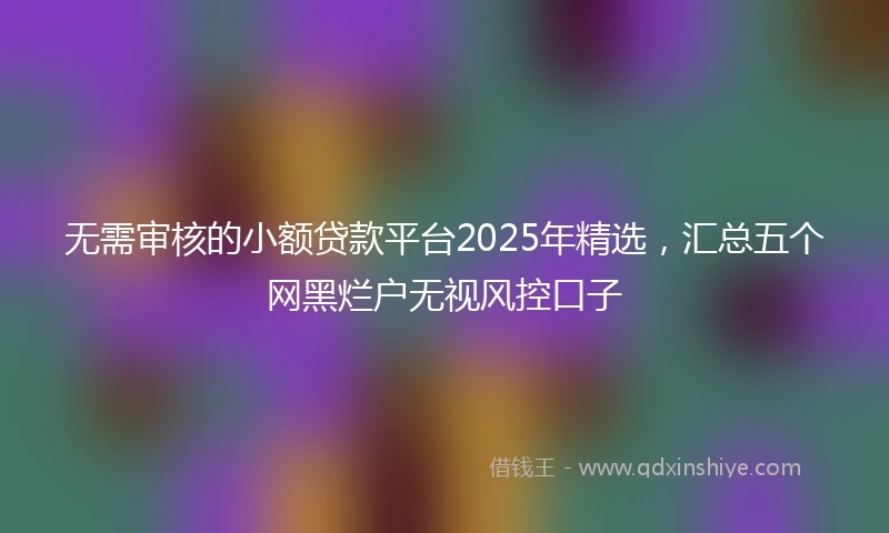 无需审核的小额贷款平台2025年精选，汇总五个网黑烂户无视风控口子