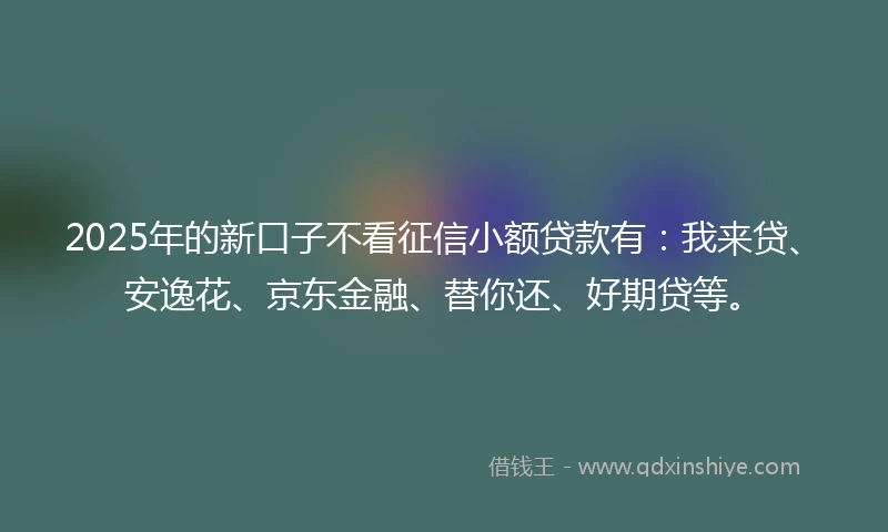 2025年的新口子不看征信小额贷款有：我来贷、安逸花、京东金融、替你还、好期贷等。