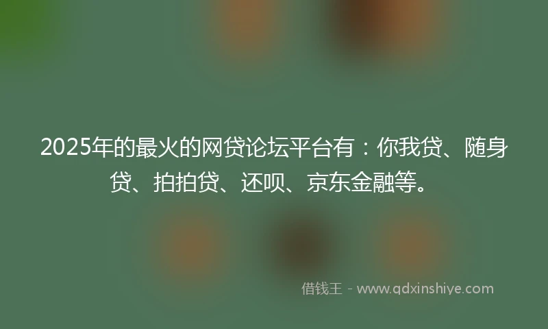 2025年的最火的网贷论坛平台有:你我贷、随身贷、拍拍贷、还呗、京东金融等。