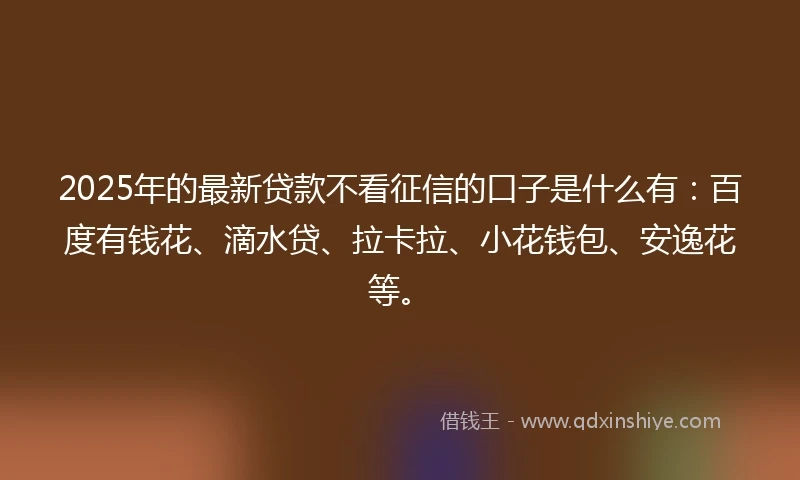 2025年的最新贷款不看征信的口子是什么有：百度有钱花、滴水贷、拉卡拉、小花钱包、安逸花等。
