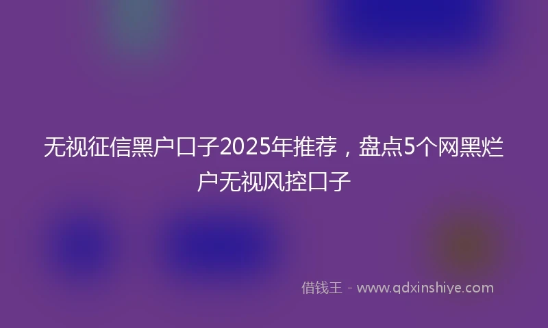无视征信黑户口子2025年推荐，盘点5个网黑烂户无视风控口子