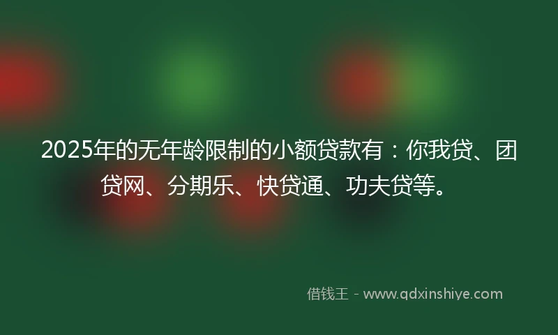 2025年的无年龄限制的小额贷款有：你我贷、团贷网、分期乐、快贷通、功夫贷等。