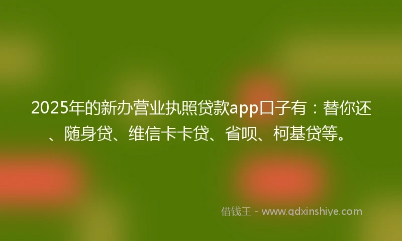2025年的新办营业执照贷款app口子有：替你还、随身贷、维信卡卡贷、省呗、柯基贷等。