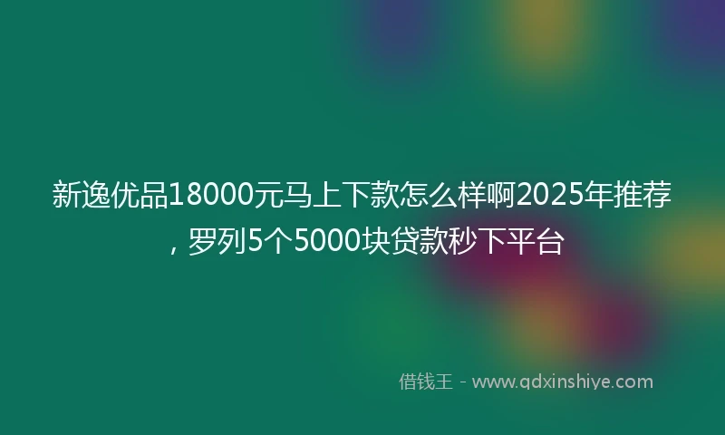 新逸优品18000元马上下款怎么样啊2025年推荐，罗列5个5000块贷款秒下平台