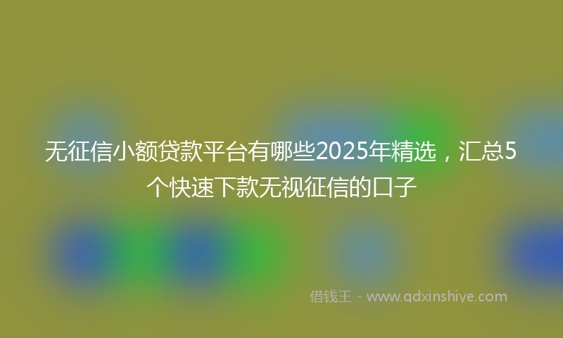 无征信小额贷款平台有哪些2025年精选，汇总5个快速下款无视征信的口子