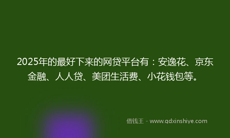 2025年的最好下来的网贷平台有：安逸花、京东金融、人人贷、美团生活费、小花钱包等。