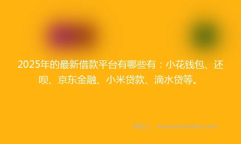 2025年的最新借款平台有哪些有：小花钱包、还呗、京东金融、小米贷款、滴水贷等。