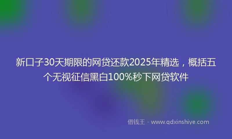 新口子30天期限的网贷还款2025年精选,概括五个无视征信黑白100%秒下网贷软件