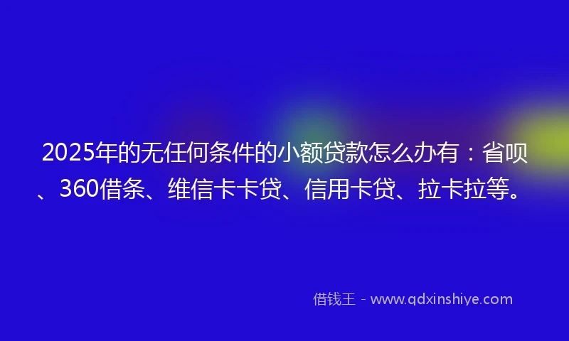 2025年的无任何条件的小额贷款怎么办有：省呗、360借条、维信卡卡贷、信用卡贷、拉卡拉等。