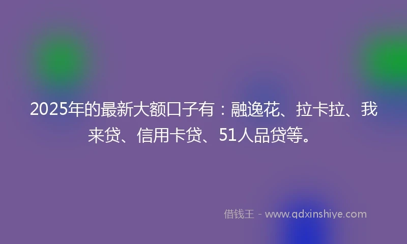2025年的最新大额口子有：融逸花、拉卡拉、我来贷、信用卡贷、51人品贷等。