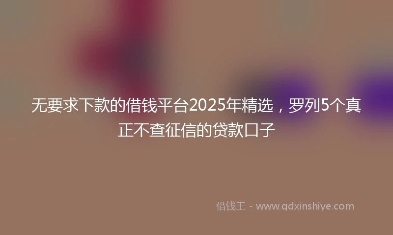 无要求下款的借钱平台2025年精选，罗列5个真正不查征信的贷款口子