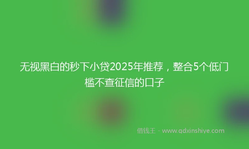 无视黑白的秒下小贷2025年推荐，整合5个低门槛不查征信的口子