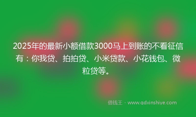2025年的最新小额借款3000马上到账的不看征信有：你我贷、拍拍贷、小米贷款、小花钱包、微粒贷等。
