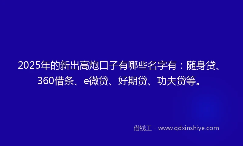 2025年的新出高炮口子有哪些名字有：随身贷、360借条、e微贷、好期贷、功夫贷等。
