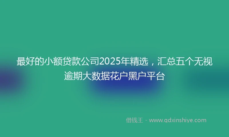 最好的小额贷款公司2025年精选，汇总五个无视逾期大数据花户黑户平台