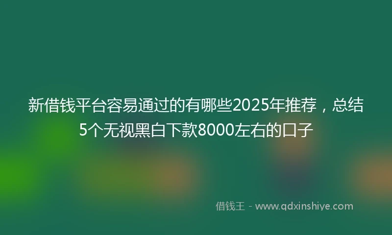 新借钱平台容易通过的有哪些2025年推荐，总结5个无视黑白下款8000左右的口子