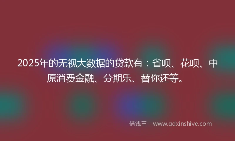 2025年的无视大数据的贷款有：省呗、花呗、中原消费金融、分期乐、替你还等。