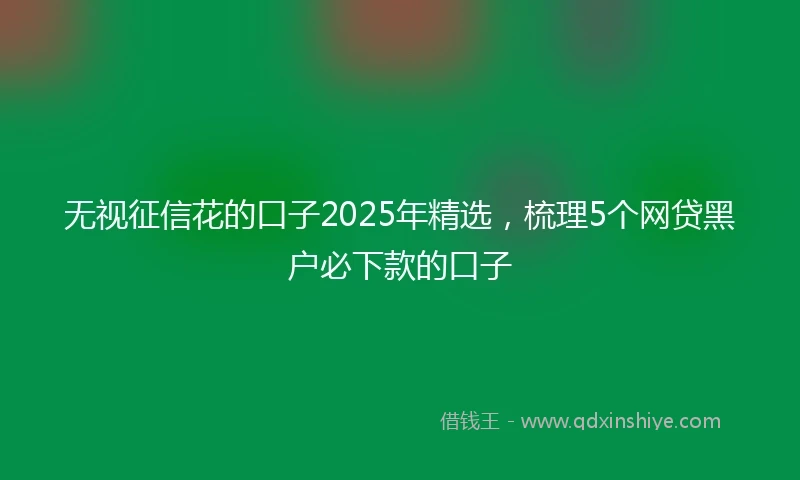 无视征信花的口子2025年精选，梳理5个网贷黑户必下款的口子