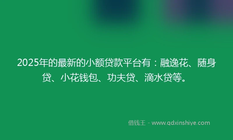 2025年的最新的小额贷款平台有：融逸花、随身贷、小花钱包、功夫贷、滴水贷等。